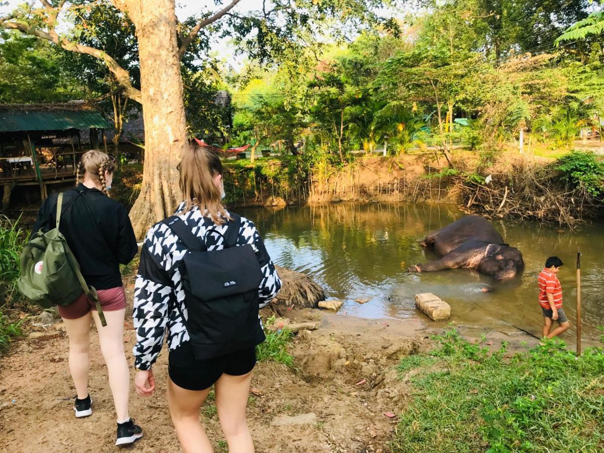 Dambulla Tourist Resort Eksteriør bilde